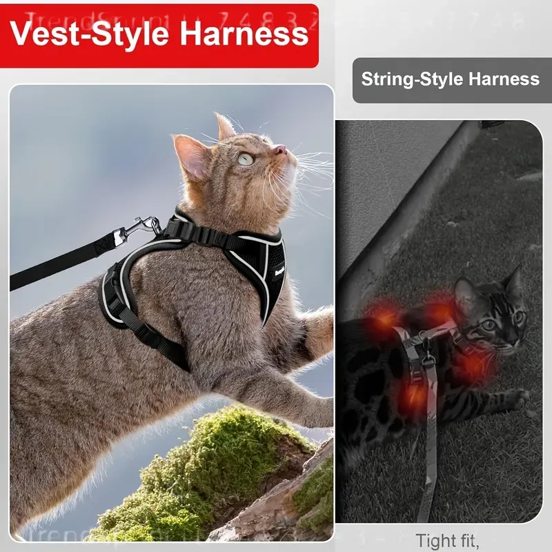 Conjunto de arnês e trela para - Outdoor Adventure Walks avaliação e preço