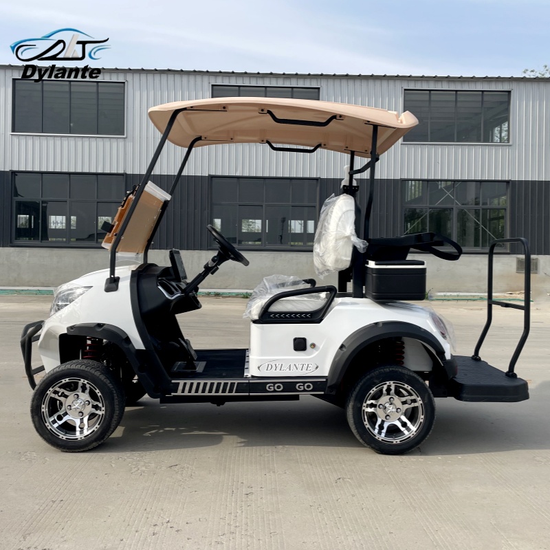 Este carrinho de golfe elétric - Outdoor Adventure Golf avaliação e preço