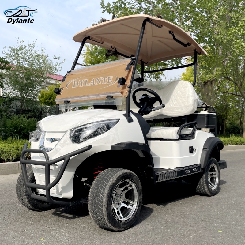 Este carrinho de golfe elétric - Outdoor Adventure Golf avaliação e preço